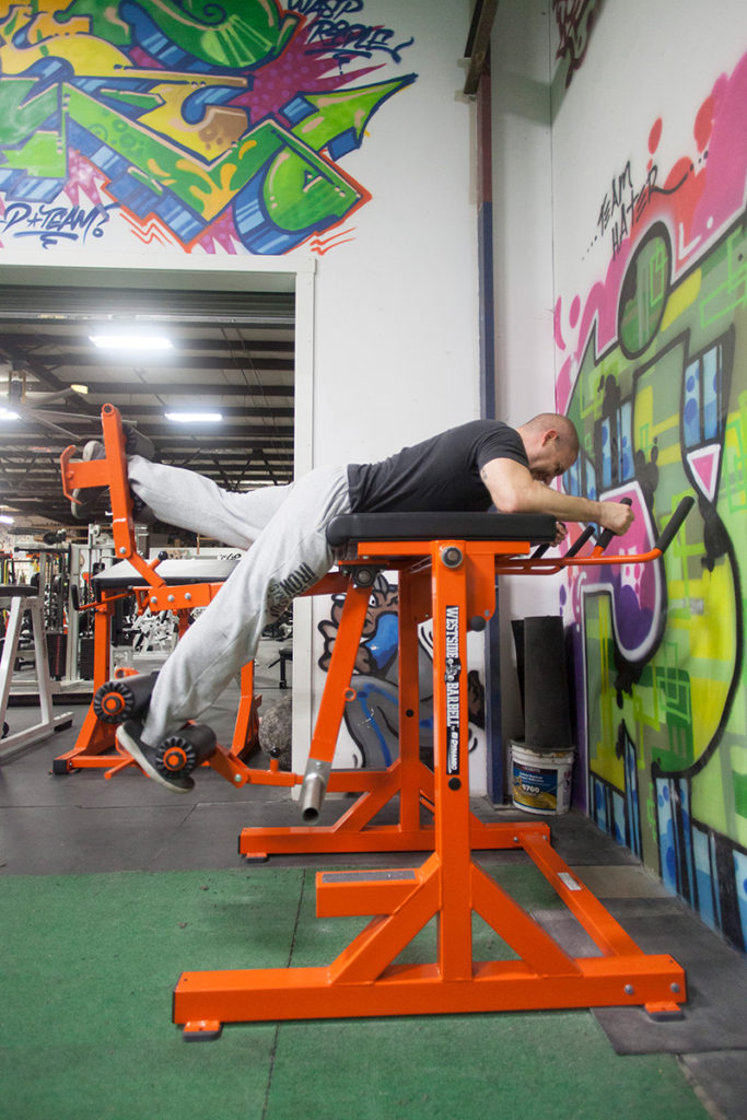 Dual Pendulum Reverse Hyper - Old School Iron