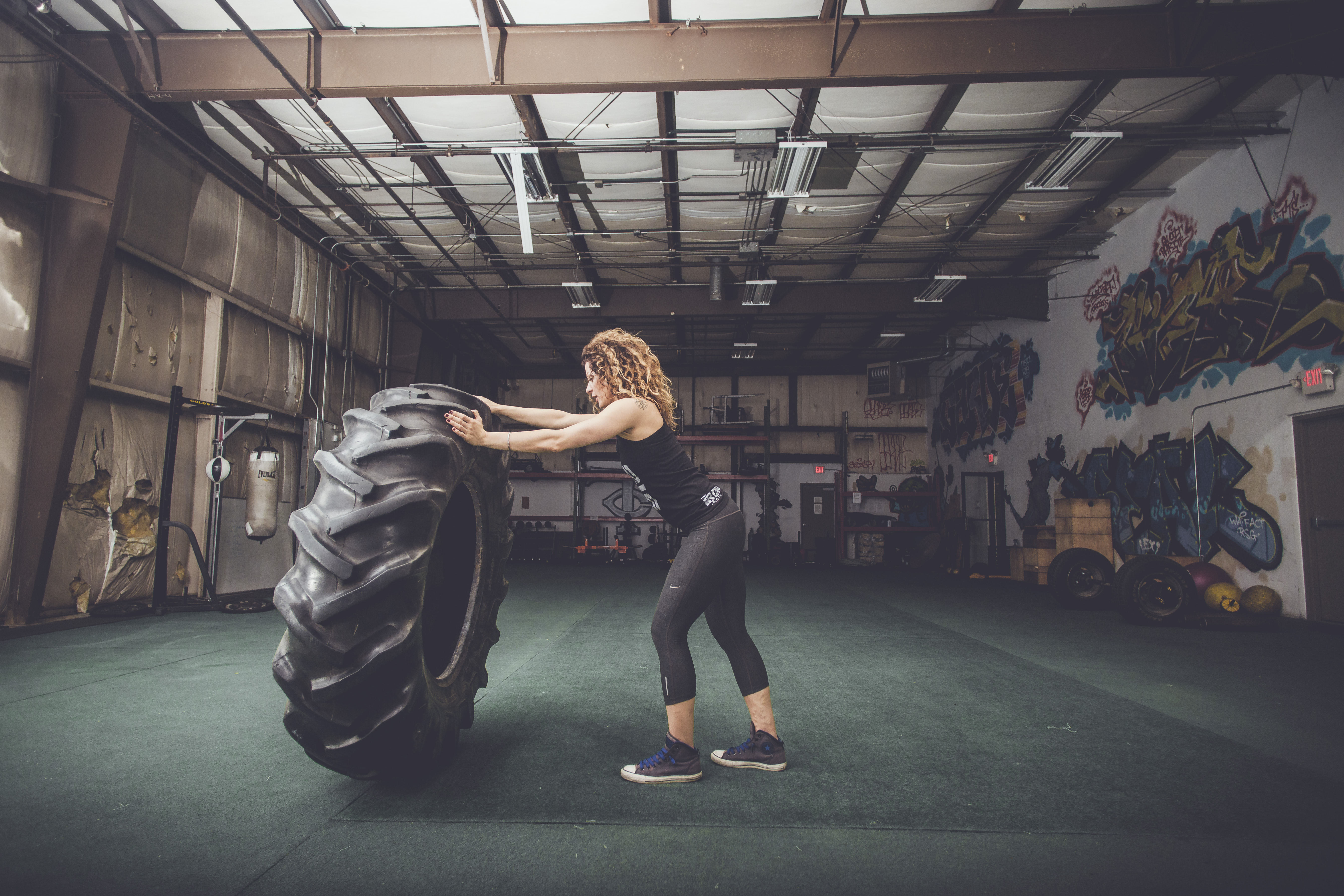 The Gym Old School Iron